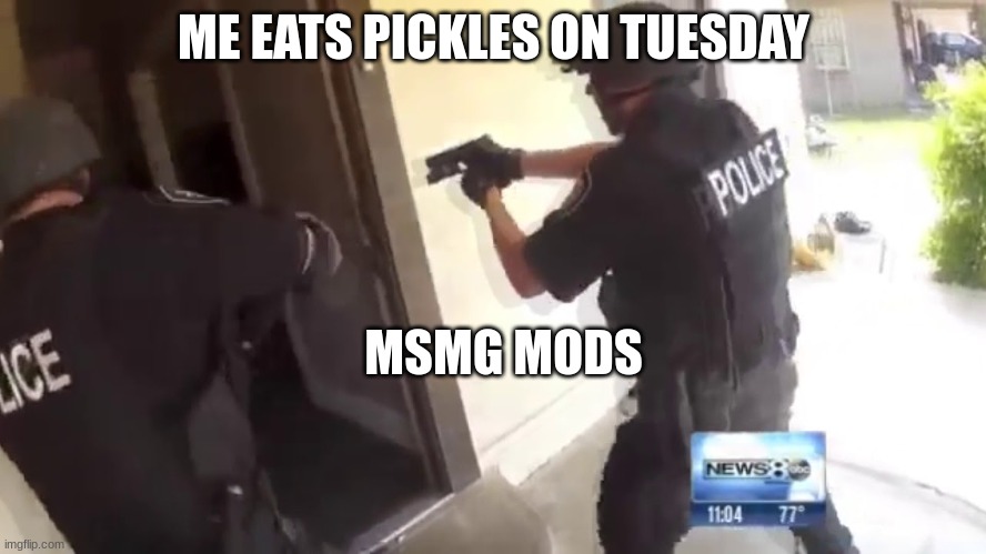 FBI OPEN UP | ME EATS PICKLES ON TUESDAY; MSMG MODS | image tagged in fbi open up | made w/ Imgflip meme maker