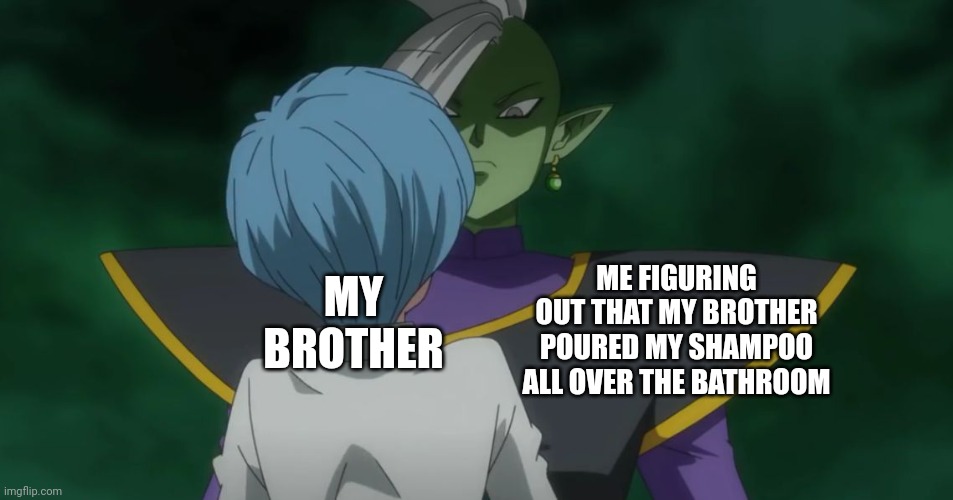 Zamasu and Bulma | MY BROTHER; ME FIGURING OUT THAT MY BROTHER POURED MY SHAMPOO ALL OVER THE BATHROOM | image tagged in zamasu and bulma | made w/ Imgflip meme maker