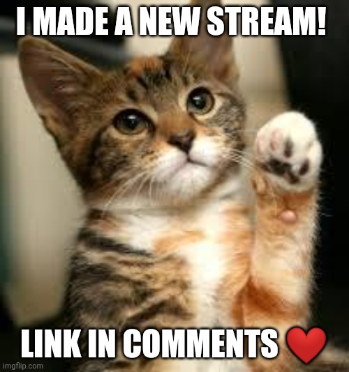 :D | I MADE A NEW STREAM! LINK IN COMMENTS ❤ | image tagged in cute cat | made w/ Imgflip meme maker