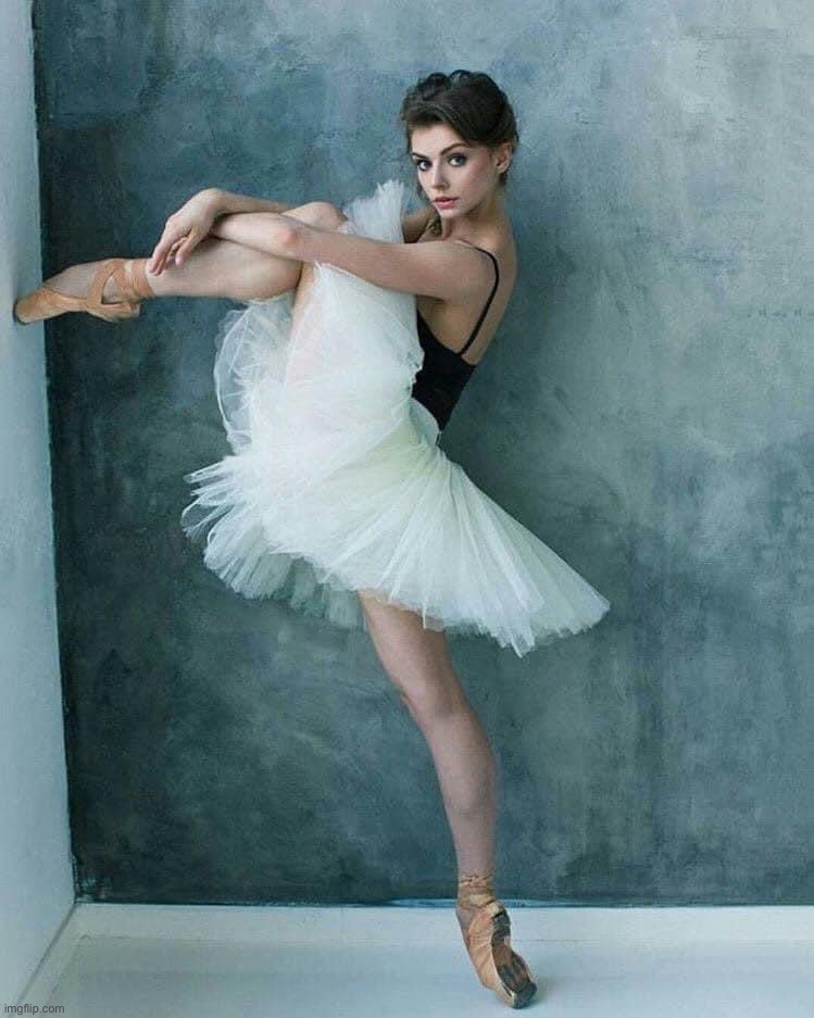 Ballerina | image tagged in ballerina | made w/ Imgflip meme maker