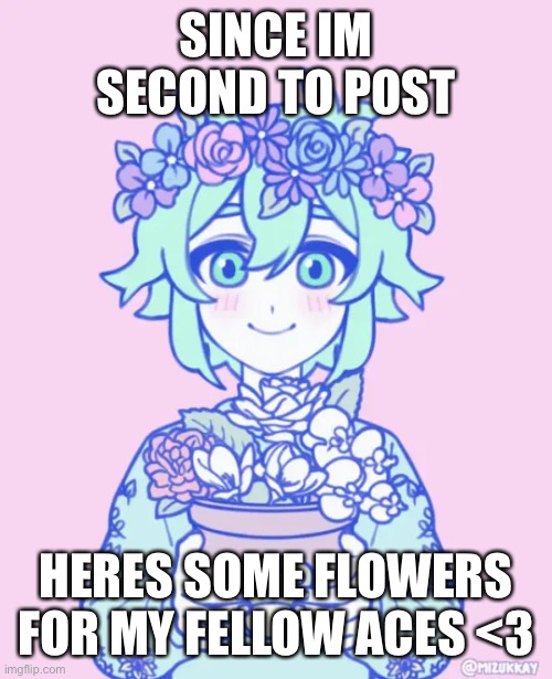 hi <3 | SINCE IM SECOND TO POST; HERES SOME FLOWERS FOR MY FELLOW ACES <3 | made w/ Imgflip meme maker