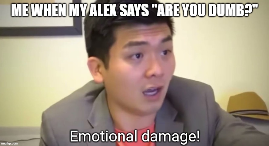 Go check out Steven He before you look at this meme | ME WHEN MY ALEX SAYS "ARE YOU DUMB?" | image tagged in emotional damage | made w/ Imgflip meme maker