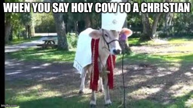 holy cow | WHEN YOU SAY HOLY COW TO A CHRISTIAN | image tagged in holy cow | made w/ Imgflip meme maker