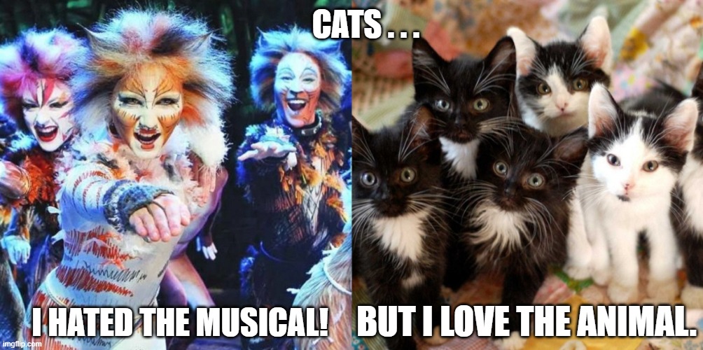 CATS | CATS . . . I HATED THE MUSICAL! BUT I LOVE THE ANIMAL. | image tagged in cats,cats the musical,cats the animals | made w/ Imgflip meme maker