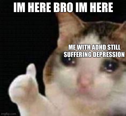 Approved crying cat | IM HERE BRO IM HERE ME WITH ADHD STILL SUFFERING DEPRESSION | image tagged in approved crying cat | made w/ Imgflip meme maker