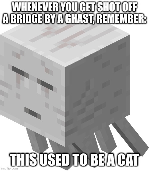 Ghast | WHENEVER YOU GET SHOT OFF A BRIDGE BY A GHAST, REMEMBER:; THIS USED TO BE A CAT | image tagged in ghast | made w/ Imgflip meme maker