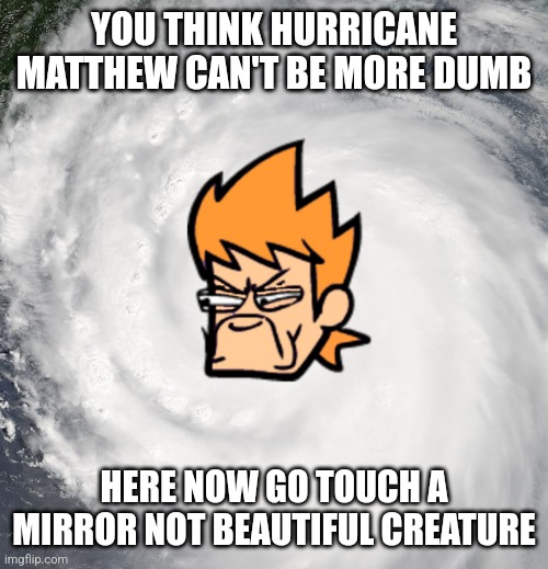 I think your beautiful | YOU THINK HURRICANE MATTHEW CAN'T BE MORE DUMB; HERE NOW GO TOUCH A MIRROR NOT BEAUTIFUL CREATURE | image tagged in hurricane matthew,wholesome | made w/ Imgflip meme maker