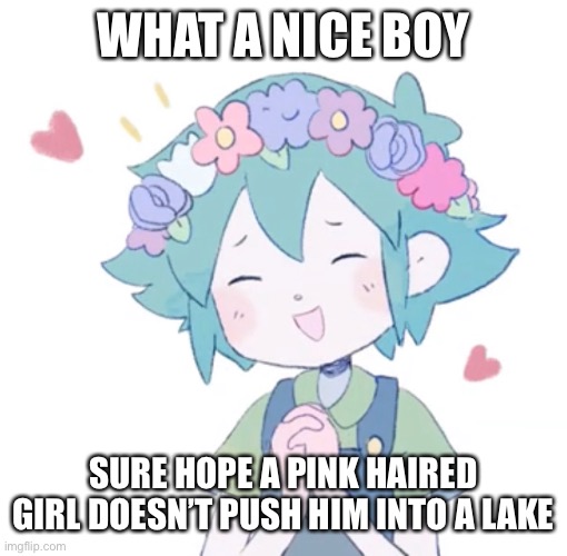 WHAT A NICE BOY SURE HOPE A PINK HAIRED GIRL DOESN’T PUSH HIM INTO A LAKE | made w/ Imgflip meme maker