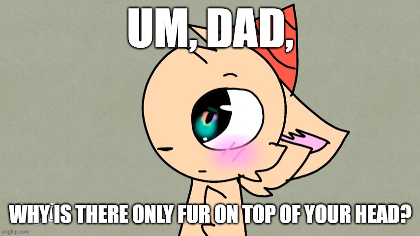 Dad is a human | UM, DAD, WHY IS THERE ONLY FUR ON TOP OF YOUR HEAD? | image tagged in kira the foxie sylvee fluff | made w/ Imgflip meme maker