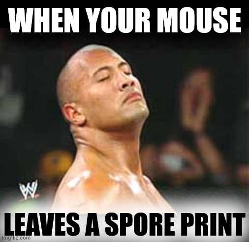 The Rock Smelling | WHEN YOUR MOUSE LEAVES A SPORE PRINT | image tagged in the rock smelling | made w/ Imgflip meme maker