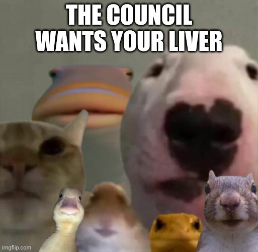 The council remastered | THE COUNCIL WANTS YOUR LIVER | image tagged in the council remastered | made w/ Imgflip meme maker