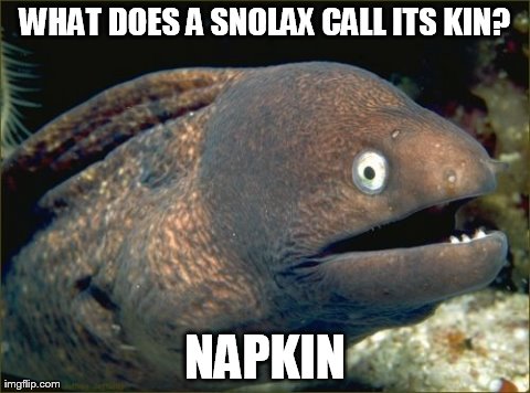 Bad Joke Eel | WHAT DOES A SNOLAX CALL ITS KIN? NAPKIN | image tagged in memes,bad joke eel | made w/ Imgflip meme maker