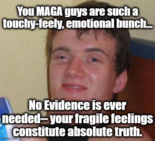 10 Guy Meme | You MAGA guys are such a touchy-feely, emotional bunch... No Evidence is ever needed-- your fragile feelings constitute absolute truth. | image tagged in memes,10 guy | made w/ Imgflip meme maker
