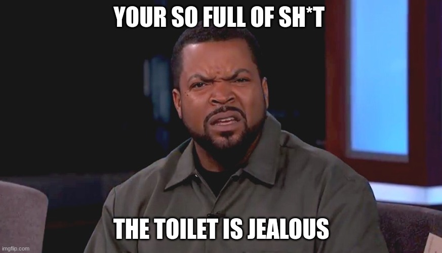 what im going to say to my kids when i get older | YOUR SO FULL OF SH*T; THE TOILET IS JEALOUS | image tagged in really ice cube | made w/ Imgflip meme maker