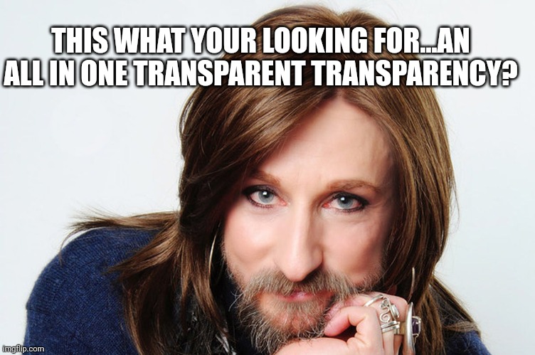 THIS WHAT YOUR LOOKING FOR...AN ALL IN ONE TRANSPARENT TRANSPARENCY? | made w/ Imgflip meme maker