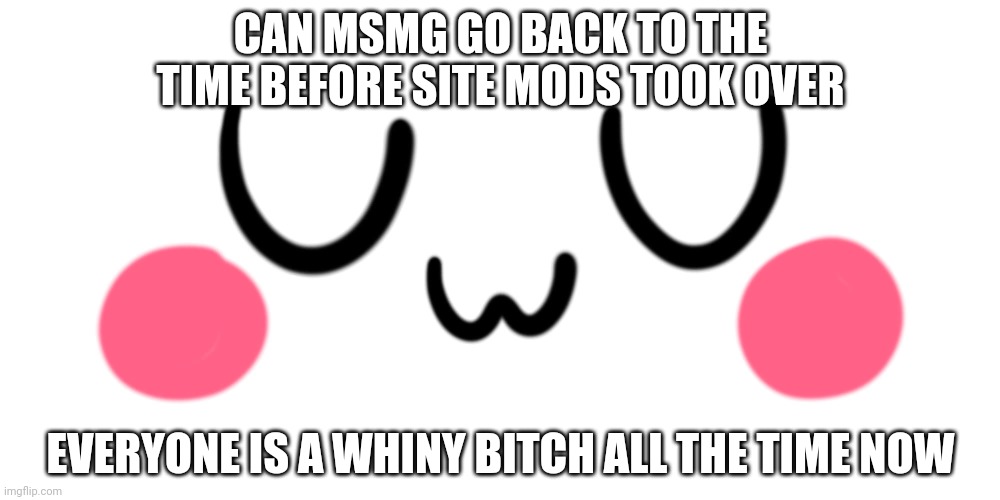 uwu | CAN MSMG GO BACK TO THE TIME BEFORE SITE MODS TOOK OVER; EVERYONE IS A WHINY BITCH ALL THE TIME NOW | image tagged in uwu | made w/ Imgflip meme maker