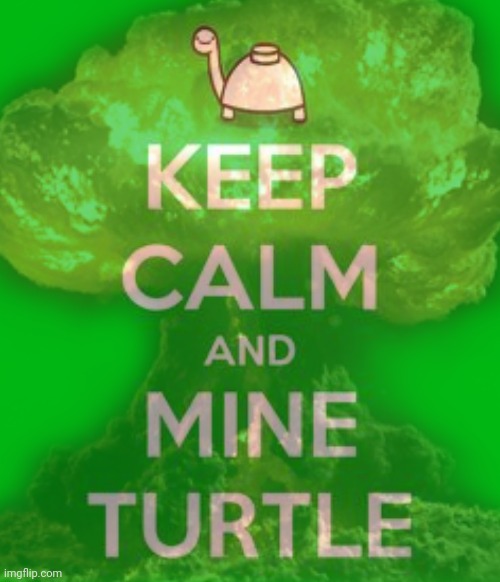 Where's mine turtle? | image tagged in why,did he delete,again | made w/ Imgflip meme maker