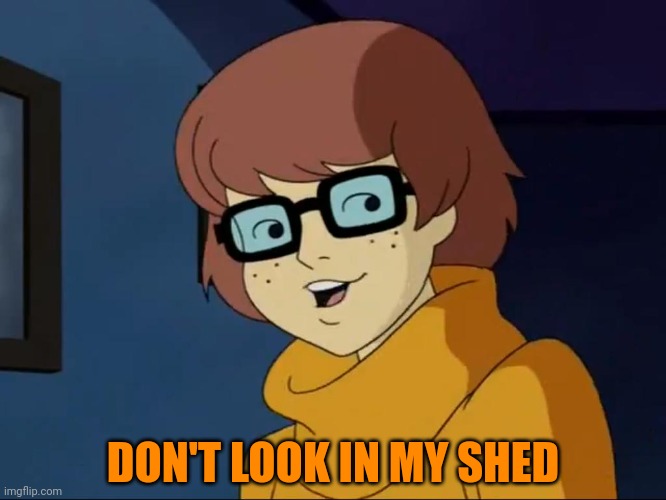 velma | DON'T LOOK IN MY SHED | image tagged in velma | made w/ Imgflip meme maker