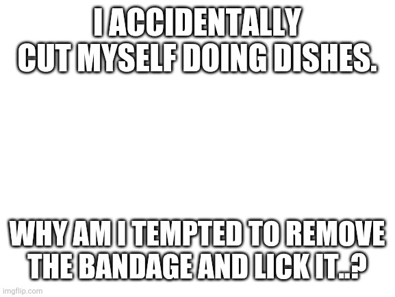 Help also yes I'm just gonna use this template.. | I ACCIDENTALLY CUT MYSELF DOING DISHES. WHY AM I TEMPTED TO REMOVE THE BANDAGE AND LICK IT..? | image tagged in blank white template | made w/ Imgflip meme maker