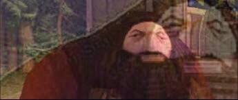 Hagrid thinking Blank Meme Template