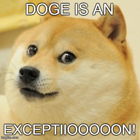 DOGE IS AN EXCEPTIIOOOOON! | image tagged in memes,doge | made w/ Imgflip meme maker