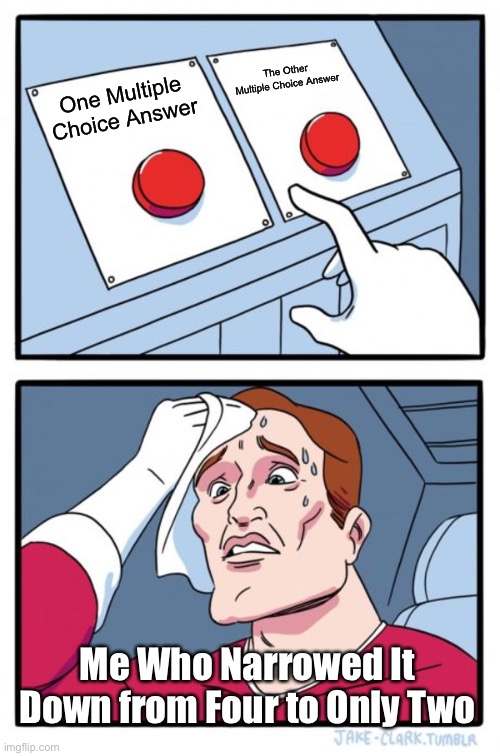 Two Buttons | The Other Multiple Choice Answer; One Multiple Choice Answer; Me Who Narrowed It Down from Four to Only Two | image tagged in memes,two buttons | made w/ Imgflip meme maker