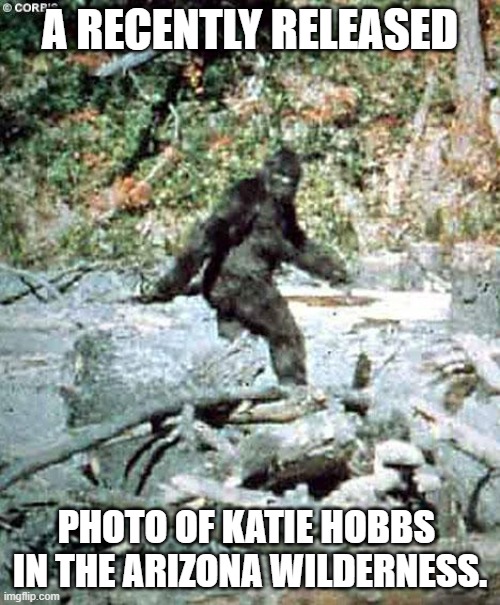 Hobbs won't debate Lake. | A RECENTLY RELEASED; PHOTO OF KATIE HOBBS  IN THE ARIZONA WILDERNESS. | image tagged in bigfoot,debate,arizona | made w/ Imgflip meme maker