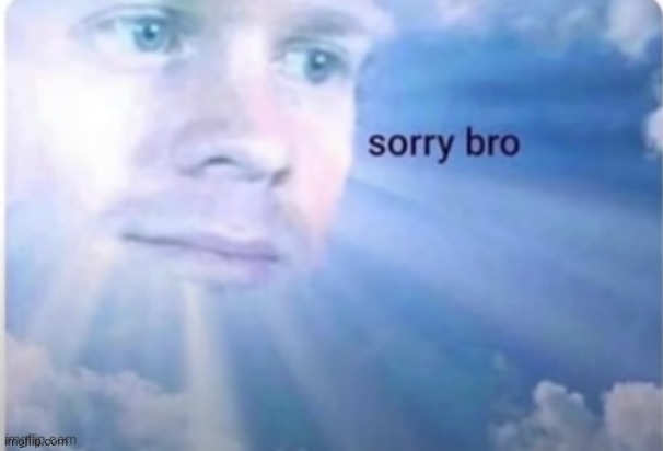 Sorry Bro | image tagged in sorry bro | made w/ Imgflip meme maker