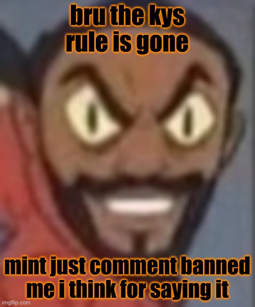 goofy ass | bru the kys rule is gone; mint just comment banned me i think for saying it | image tagged in goofy ass | made w/ Imgflip meme maker