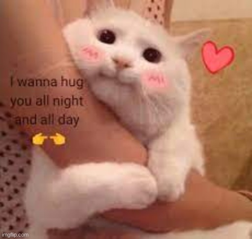 okay time to post wholesome | made w/ Imgflip meme maker