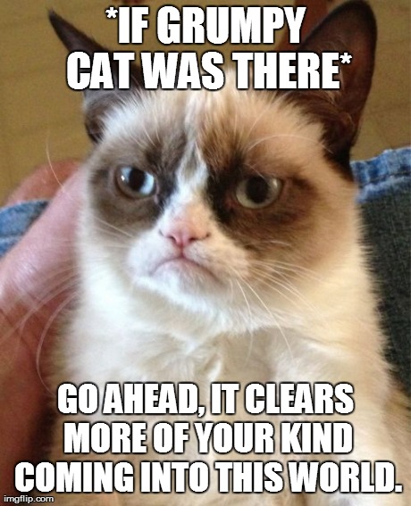 *IF GRUMPY CAT WAS THERE* GO AHEAD, IT CLEARS MORE OF YOUR KIND COMING INTO THIS WORLD. | image tagged in memes,grumpy cat | made w/ Imgflip meme maker