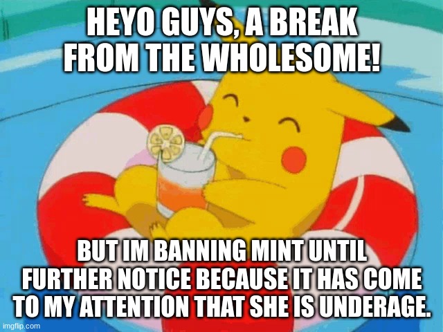 Any objections? | HEYO GUYS, A BREAK FROM THE WHOLESOME! BUT IM BANNING MINT UNTIL FURTHER NOTICE BECAUSE IT HAS COME TO MY ATTENTION THAT SHE IS UNDERAGE. | image tagged in pool pikachu | made w/ Imgflip meme maker