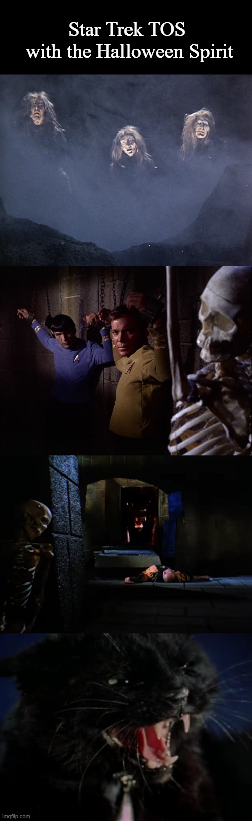 Star Trek TOS with the Halloween Spirit | Star Trek TOS
 with the Halloween Spirit | image tagged in star trek,memes,halloween,catspaw | made w/ Imgflip meme maker