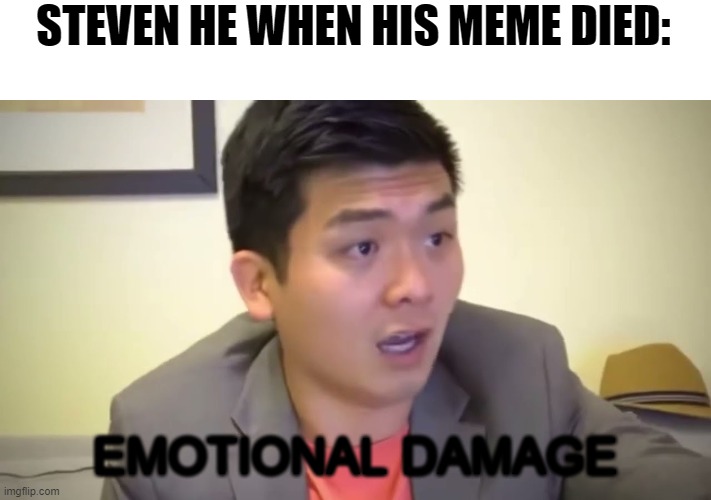 meme revival? | STEVEN HE WHEN HIS MEME DIED:; EMOTIONAL DAMAGE | image tagged in emotional damage,steven he | made w/ Imgflip meme maker