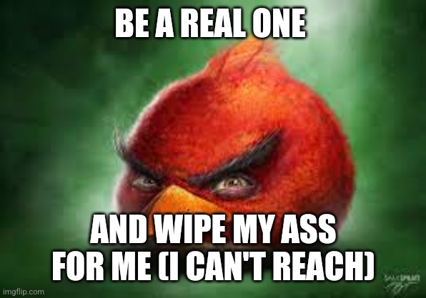Red angry bird | BE A REAL ONE; AND WIPE MY ASS FOR ME (I CAN'T REACH) | image tagged in realistic red angry birds | made w/ Imgflip meme maker
