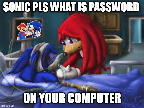 sonic's computer | SONIC PLS WHAT IS PASSWORD; ON YOUR COMPUTER | image tagged in sonic hospital bed | made w/ Imgflip meme maker