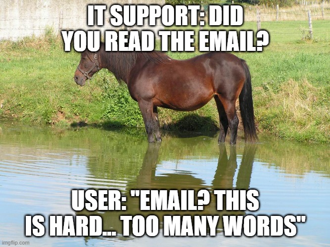 IT Support vs Users | IT SUPPORT: DID YOU READ THE EMAIL? USER: "EMAIL? THIS IS HARD... TOO MANY WORDS" | image tagged in horse in water | made w/ Imgflip meme maker