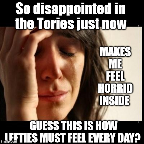 Tories disappoint | So disappointed in 
the Tories just now; MAKES ME FEEL HORRID INSIDE; #Starmerout #Labour #JonLansman #wearecorbyn #KeirStarmer #DianeAbbott #McDonnell #cultofcorbyn #labourisdead #Momentum #labourracism #socialistsunday #nevervotelabour #socialistanyday #Antisemitism #Savile #SavileGate #Paedo #Worboys #GroomingGangs #Paedophile #BeerGate #DurhamGate #Rayner #AngelaRayner #BasicInstinct; GUESS THIS IS HOW LEFTIES MUST FEEL EVERY DAY? | image tagged in labourisdead,cultofcorbyn,starmerout getstarmerout,labour leadership elections | made w/ Imgflip meme maker