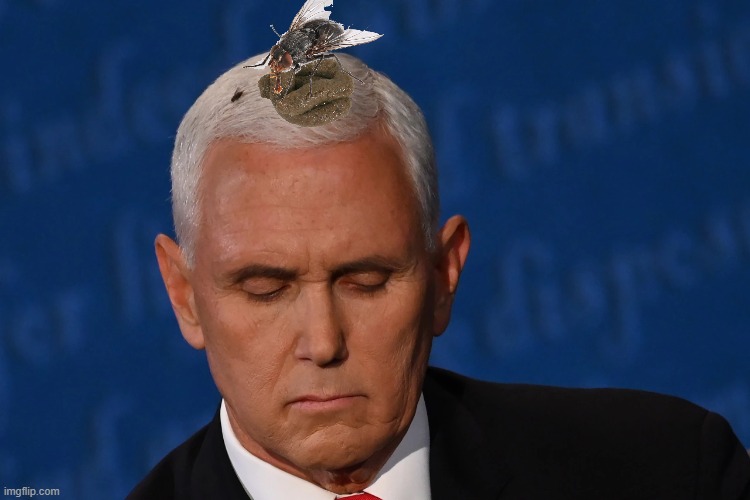 Pence . . . turns white, stops stinkin' | image tagged in mike pence,political meme | made w/ Imgflip meme maker