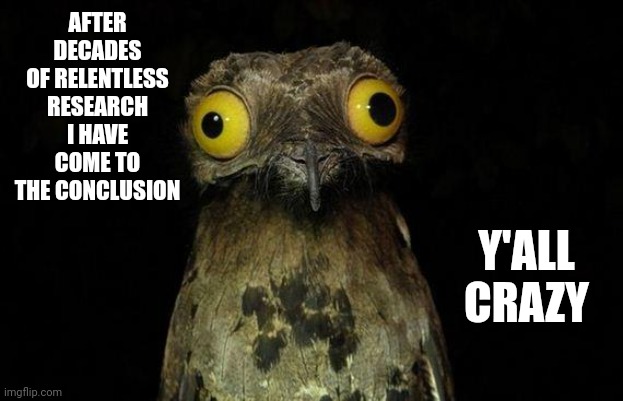 Y'all Be Crazy | AFTER DECADES OF RELENTLESS RESEARCH I HAVE COME TO THE CONCLUSION; Y'ALL CRAZY | image tagged in memes,weird stuff i do potoo,crazy,crazy man,crazy lady,you crazy son of a bitch you did it | made w/ Imgflip meme maker