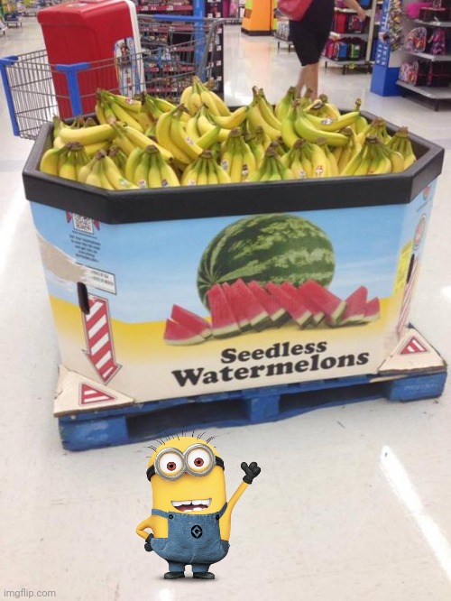 YOU HAD ONE JOB | image tagged in you had one job | made w/ Imgflip meme maker
