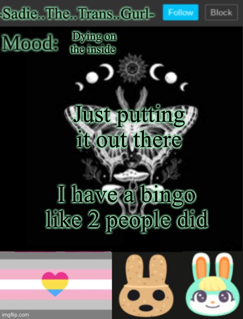 It’s called Sadie’s bingo | Dying on the inside; Just putting it out there; I have a bingo like 2 people did | image tagged in sadiesannouncement temp | made w/ Imgflip meme maker