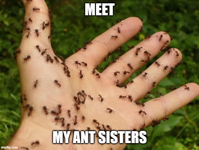 Ant Sisters | MEET; MY ANT SISTERS | image tagged in ants,ancestors,hand,puns,bad pun,bad puns | made w/ Imgflip meme maker
