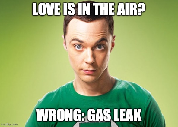 oOh nO |  LOVE IS IN THE AIR? WRONG: GAS LEAK | image tagged in sheldon cooper | made w/ Imgflip meme maker