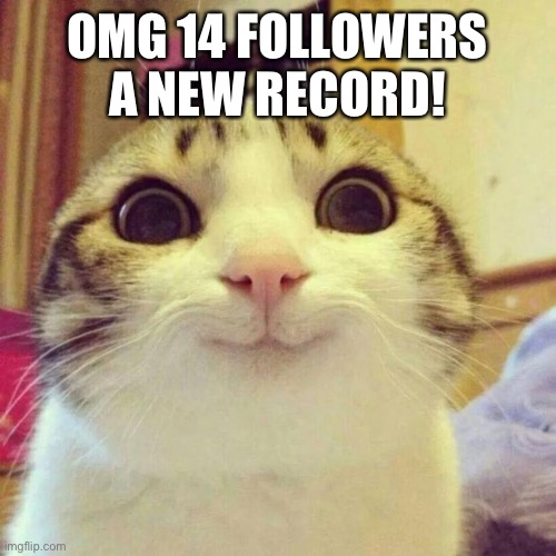 E | OMG 14 FOLLOWERS A NEW RECORD! | image tagged in memes,smiling cat | made w/ Imgflip meme maker