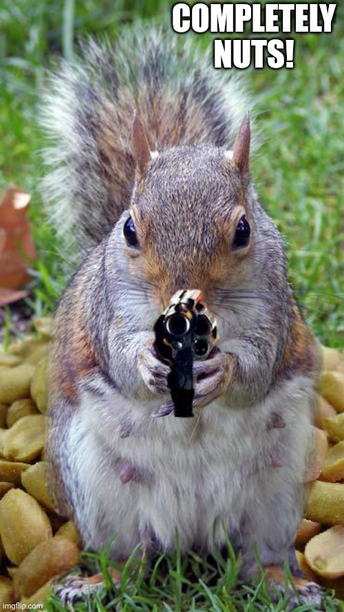 funny squirrels with guns (5) | COMPLETELY NUTS! | image tagged in funny squirrels with guns 5 | made w/ Imgflip meme maker