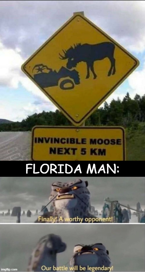 That Moose is in danger | FLORIDA MAN: | image tagged in finally a worthy opponent,moose,florida man,funny,memes | made w/ Imgflip meme maker
