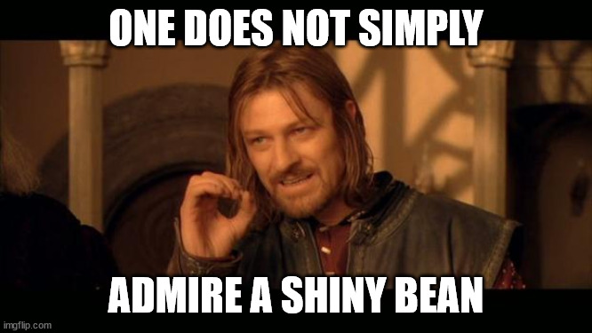 Sean Bean Lord Of The Rings | ONE DOES NOT SIMPLY ADMIRE A SHINY BEAN | image tagged in sean bean lord of the rings | made w/ Imgflip meme maker