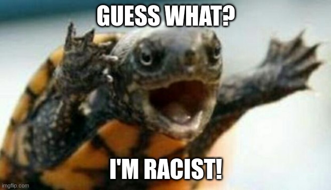 Turtle Say What? | GUESS WHAT? I'M RACIST! | image tagged in turtle say what | made w/ Imgflip meme maker