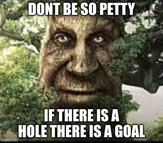 Wise mytical tree | DONT BE SO PETTY; IF THERE IS A HOLE THERE IS A GOAL | image tagged in wise mytical tree | made w/ Imgflip meme maker
